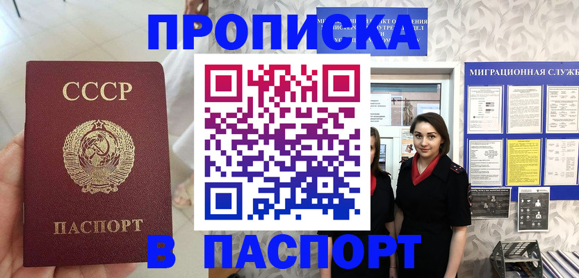 прописка 2025 в Сертолово